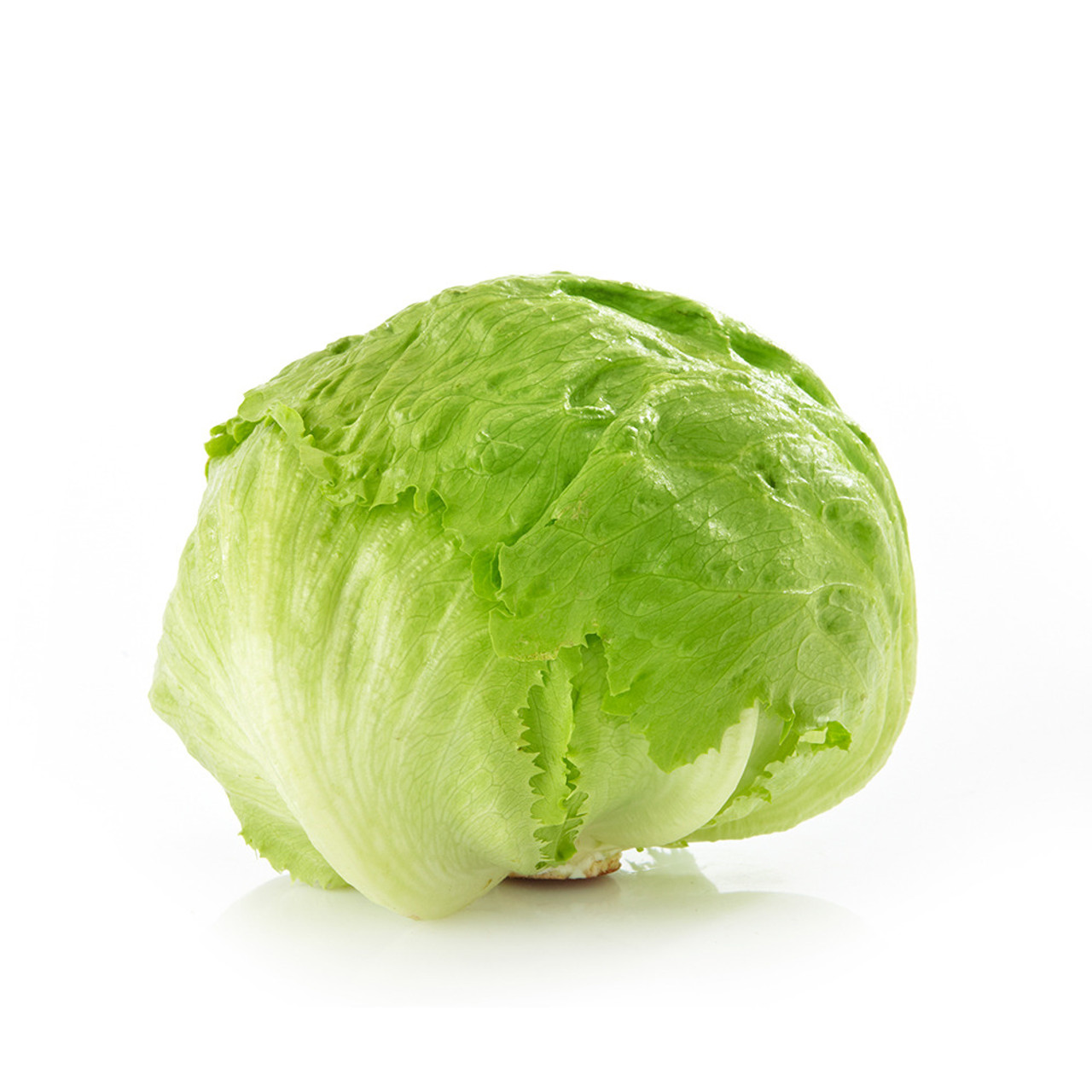 ICE BERG LETTUCE