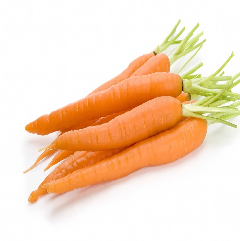 CARROTS